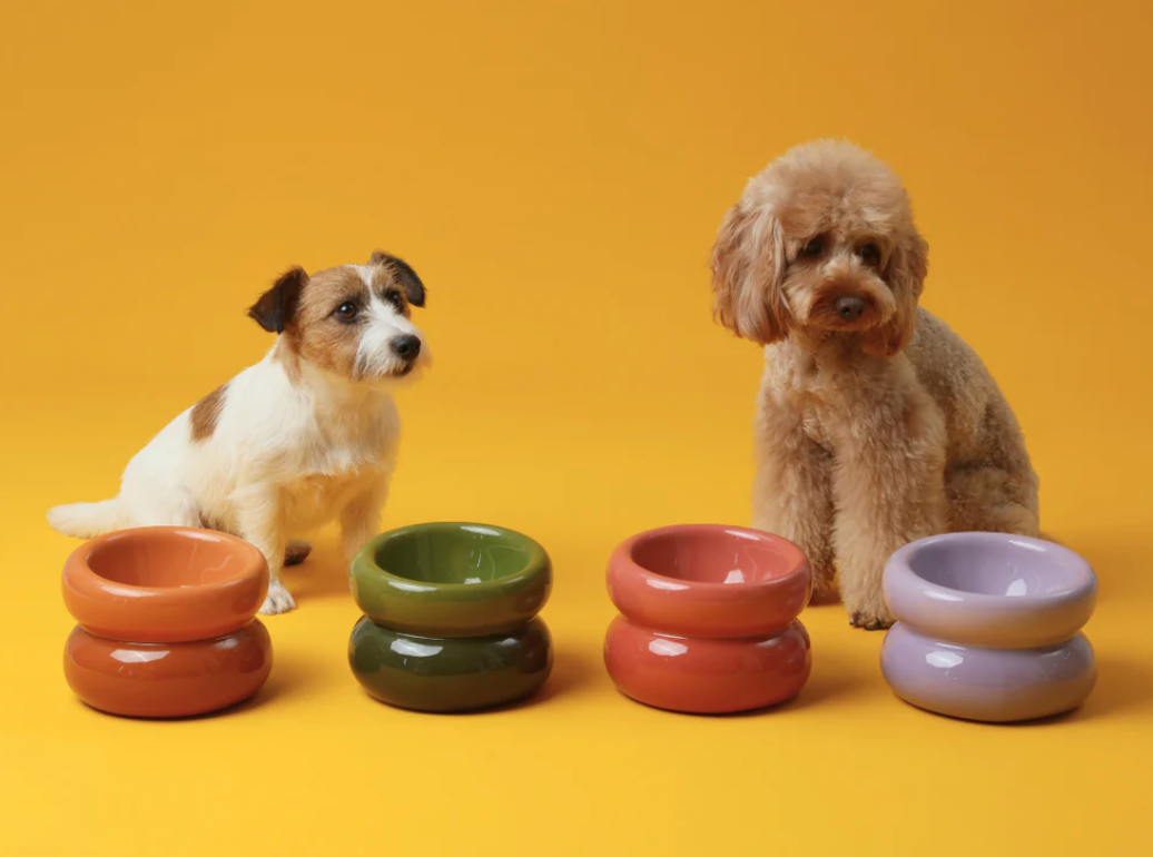 SOUFFLÉ PET BOWL - PURPLE