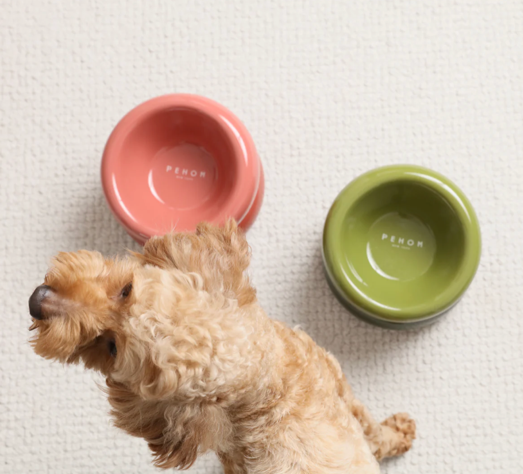 SOUFFLÉ PET BOWL - PURPLE