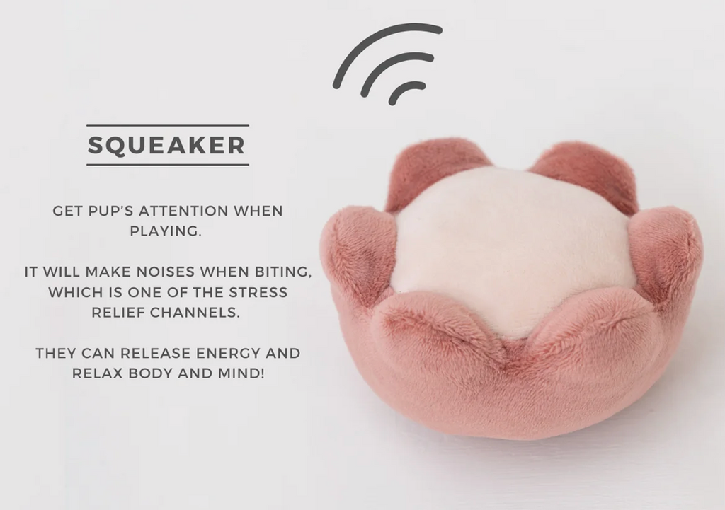 PARADISE PET TOY- ERYSIMUM