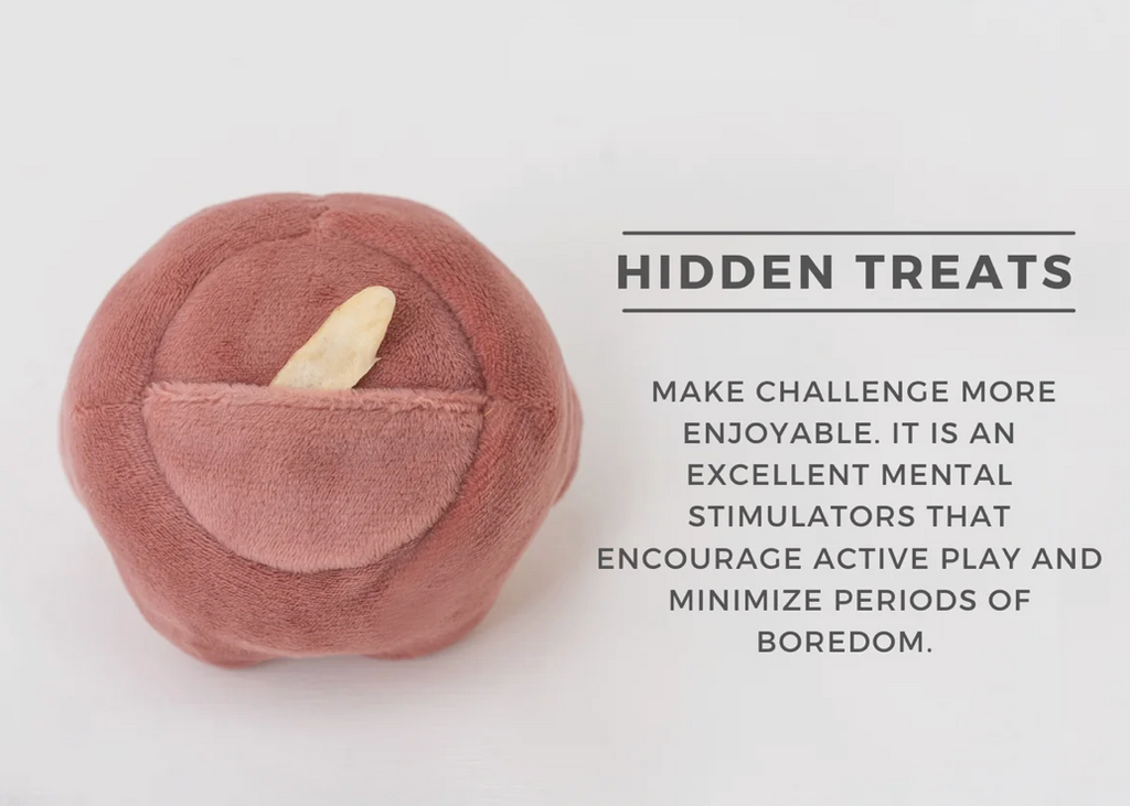 PARADISE PET TOY- ANEMONE