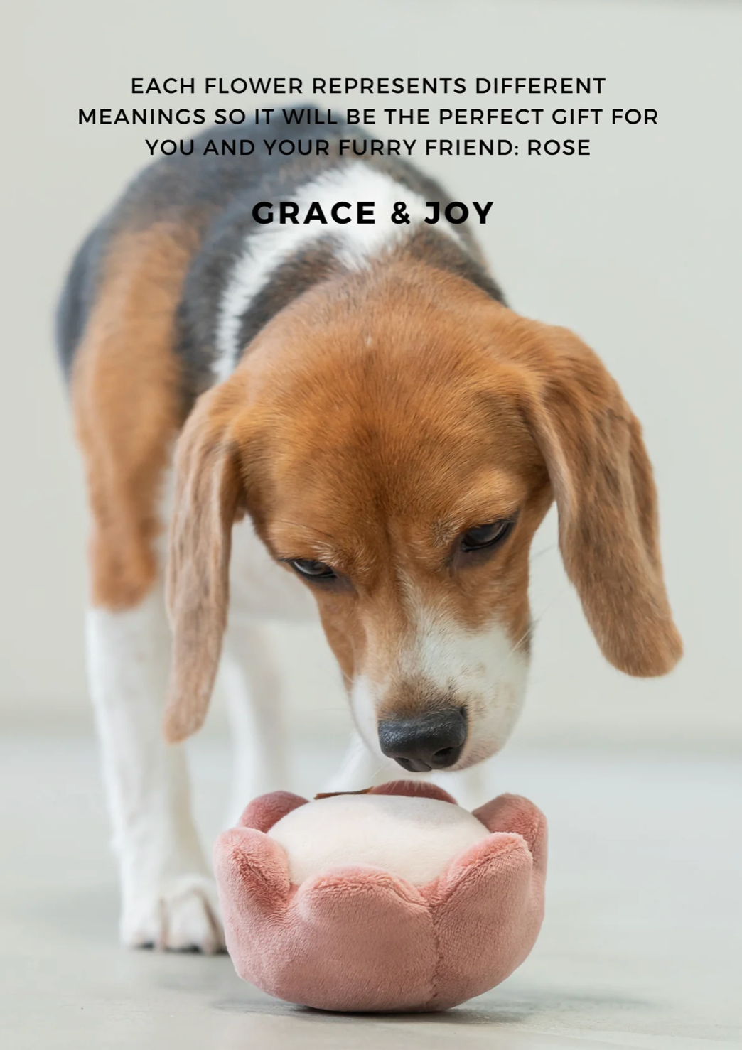 PARADISE PET TOY - ROSE