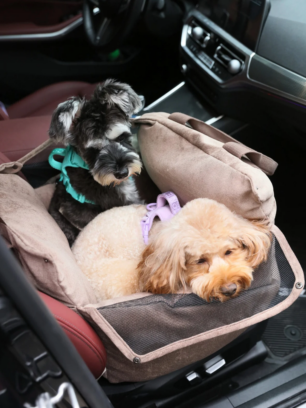 PUFF GUARD DOG CAR SEAT  - PINK