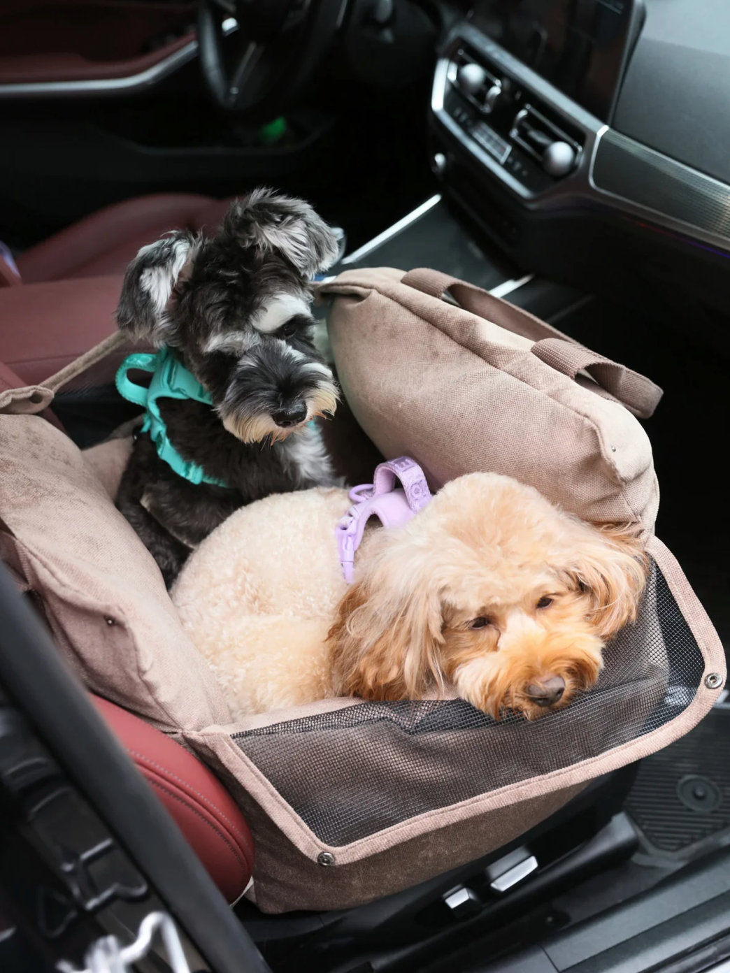 PUFF GUARD DOG CAR SEAT  - PINK