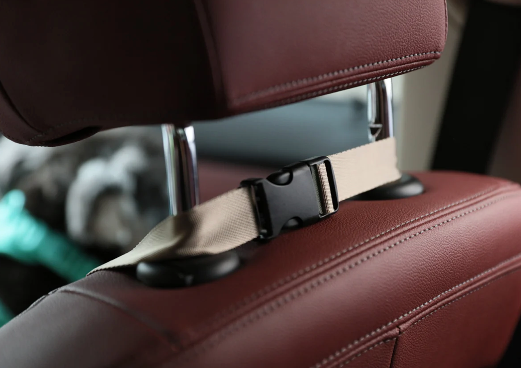 PUFF GUARD DOG CAR SEAT - BLUE