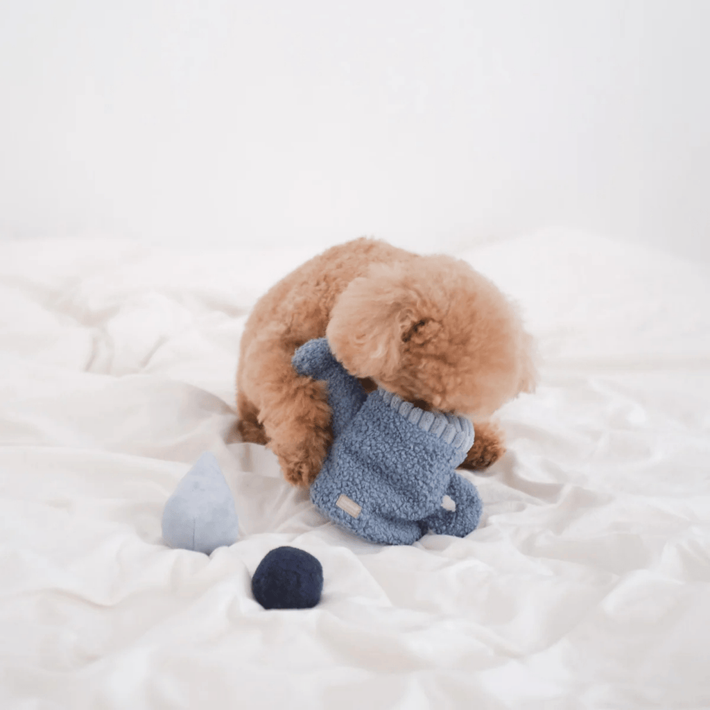 Lambwolf Collective - WATERING CAN