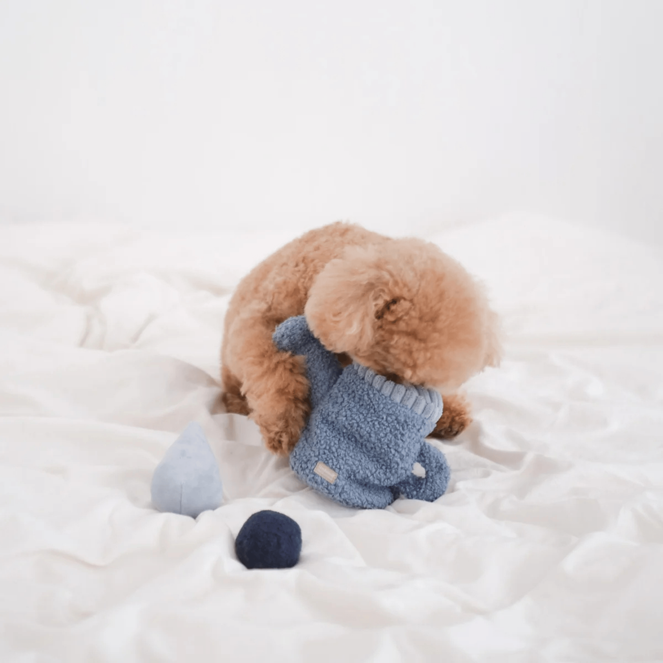 Lambwolf Collective - WATERING CAN