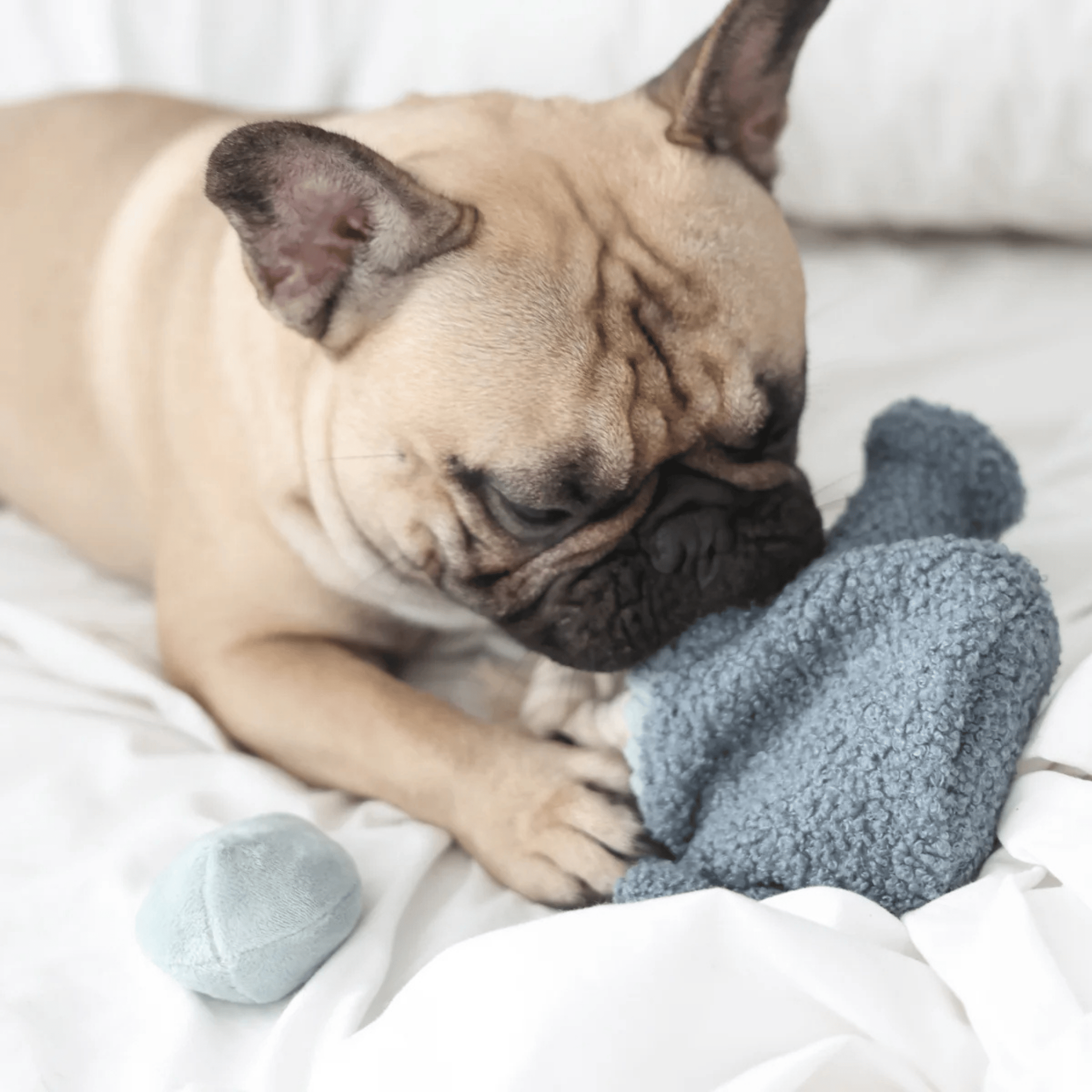 Lambwolf Collective - WATERING CAN