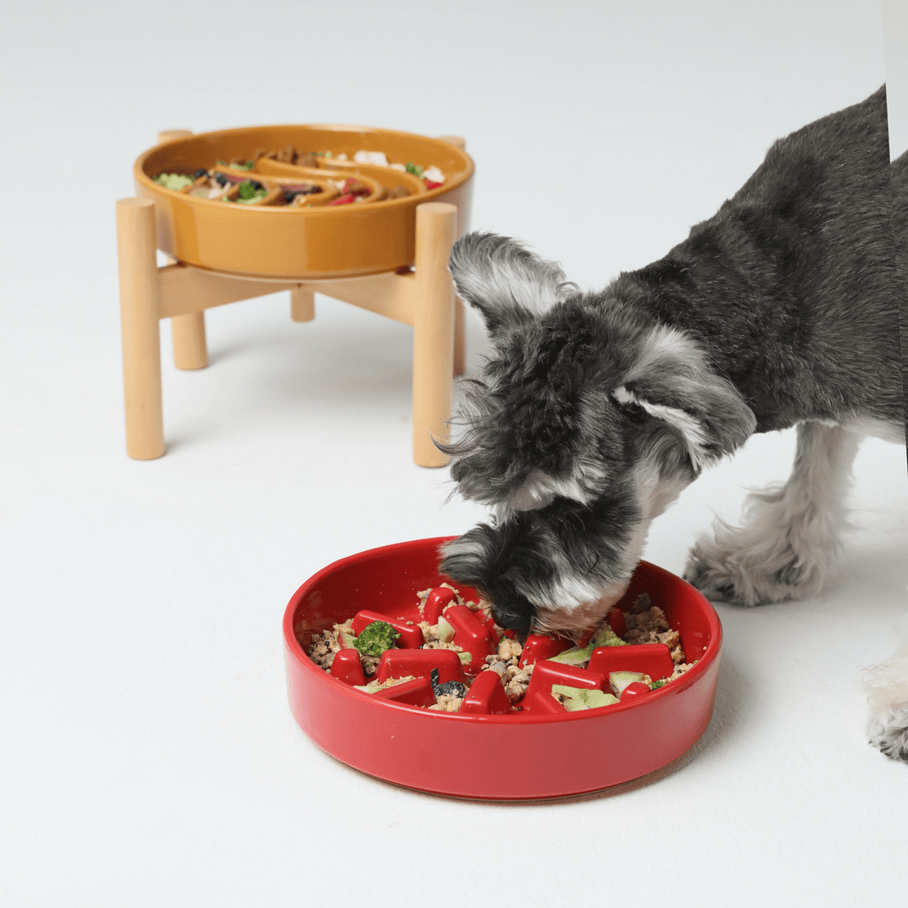 [SPARK] Slow Feeder Dog Bowls - Red M