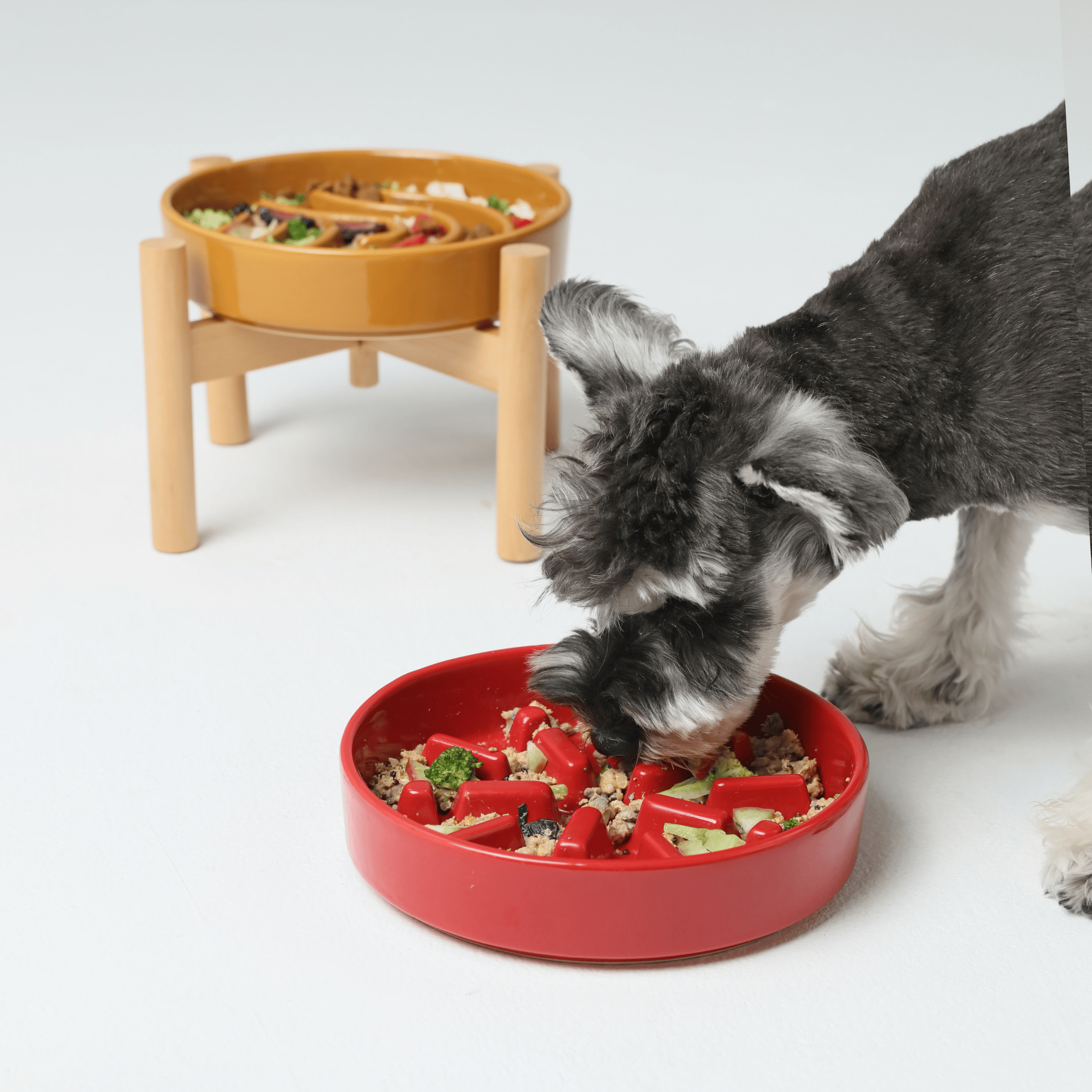 [SPARK] Slow Feeder Dog Bowls - Red M