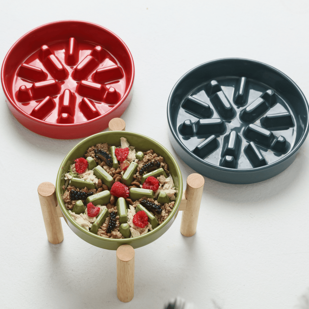 [SET SPARK] Slow Feeder Dog Bowls - Green M