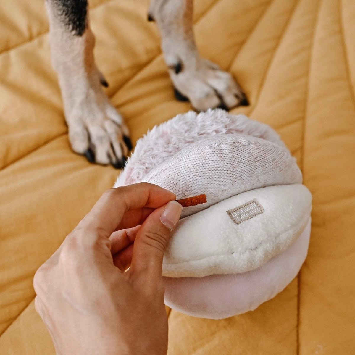 Lambwolf Collective - TOTO BLUSH