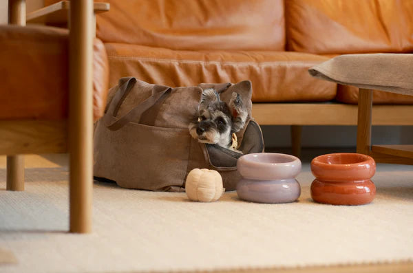 SOUFFLÉ PET BOWL - PURPLE