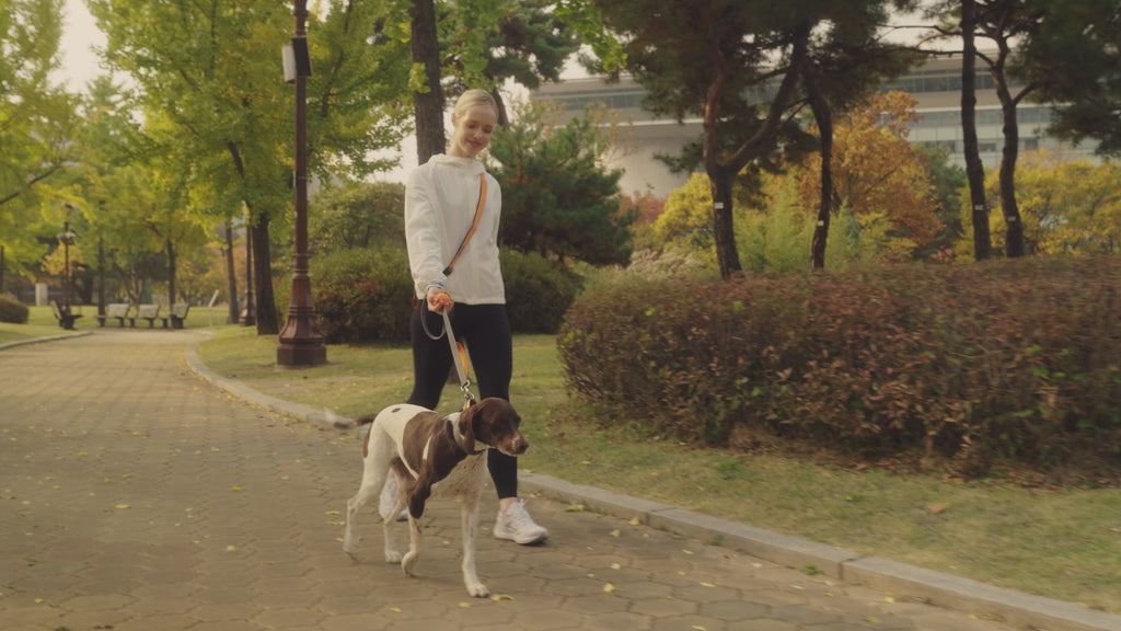 [BOONDOG] Boonball Soft Orange